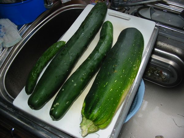 画像 080818 013.jpg