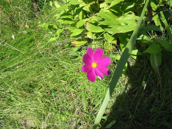 画像 081002 012.jpg