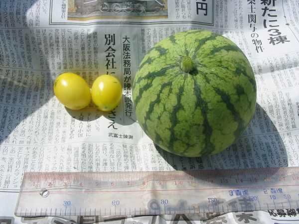 画像 081002 014.jpg