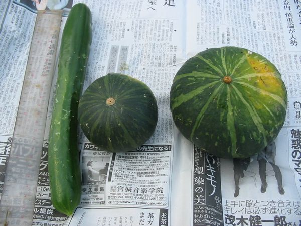 画像 080826 020.jpg