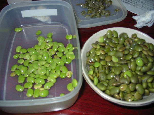 画像 080826 023.jpg