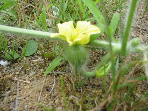 IMG_4989.jpg