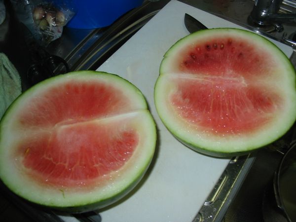 画像 080808 021.jpg