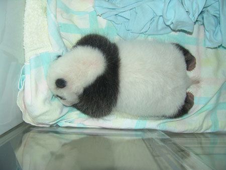 !image035.jpg