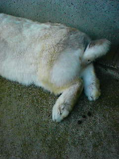 よちよちあんよ~