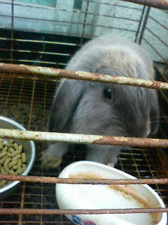 大きくなったなぁー