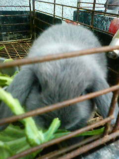 ｢レイタ｣！？？？