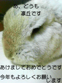 凛ちゃんから、あけおめことよろ!