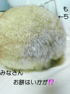 尻餅はいかが(笑)