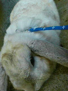 疲れてないわよ~