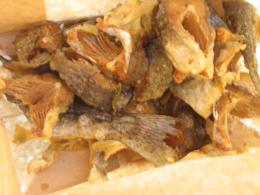 から揚げ