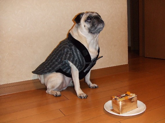 画像 38910guna20.jpg