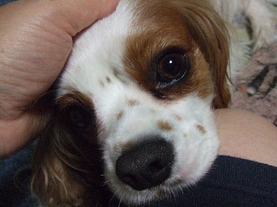 画像 002erumo20.jpg