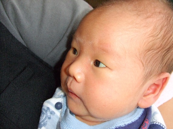 画像 034yuuga20.jpg