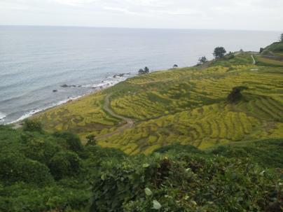 NEC_0034.JPG