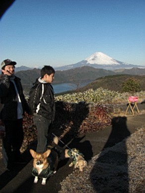 コピー ～ 画像 002.jpg