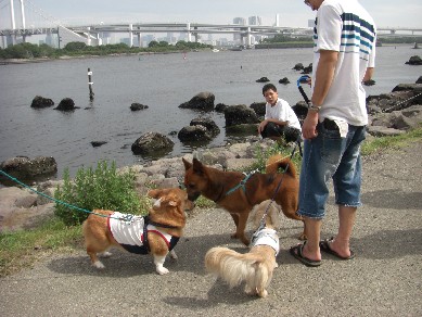 コピー ～ 画像 038.jpg