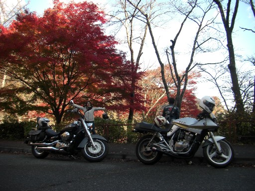 コピー ～ CIMG3963.JPG