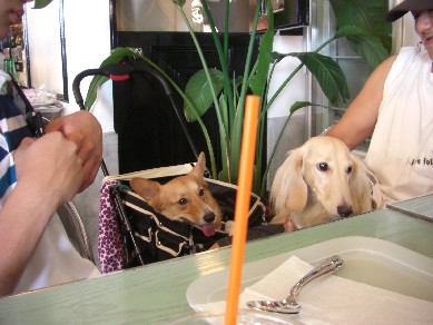 コピー ～ 画像 059.jpg