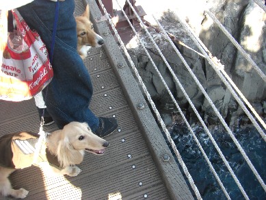 コピー ～ 画像 027.jpg