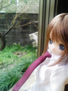 姫乃「和歌山の方は寒いなぁ、ホンマ・・・。桜まだ咲いてへんで」