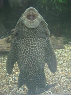 16ﾍﾙｼﾝｷ動物園 (20).JPG