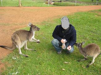 ルーシービュー (25).JPG