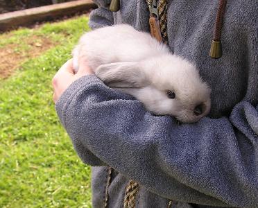 ルーシー (36).JPG