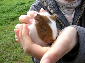 ルーシー (44).JPG