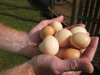 ルーシービュー (43).JPG