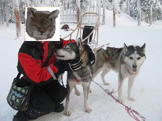 09犬ぞり (39).JPG