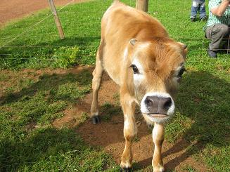 ルーシービュー (36).JPG