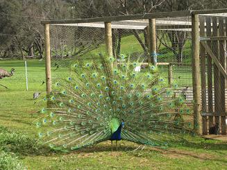 ルーシービュー (39).JPG