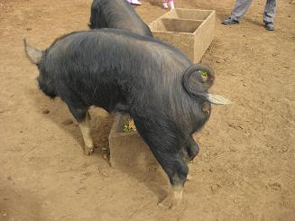 ルーシービュー (44).JPG