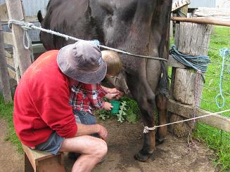 ルーシービュー (47).JPG