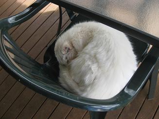 ルーシービュー (51).JPG