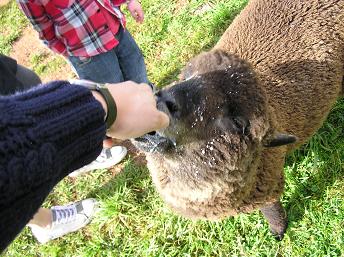 ルーシー (38).JPG