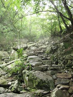 オルムコル (37).JPG