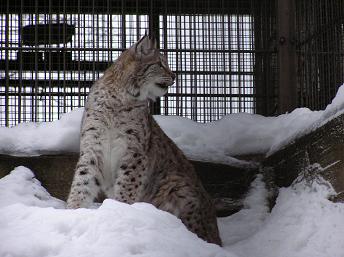 16ﾍﾙ･動物園 (2).JPG