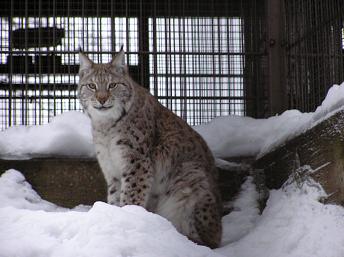 16ﾍﾙ･動物園 (4).JPG