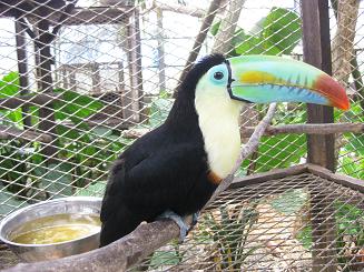 フルーツランド (11).JPG