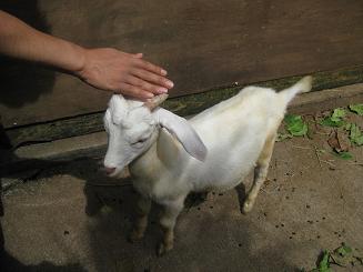 フルーツランド (19).JPG