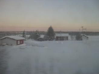 05ｹﾐｰﾛﾊﾞﾗﾝﾁ･移動 (19).JPG