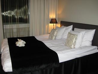 06ﾛﾊﾞ･ﾎﾃﾙ (2).JPG