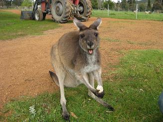 ルーシービュー (26).JPG