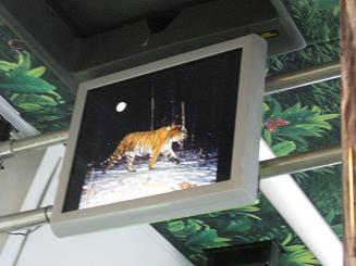 16ﾍﾙｼﾝｷ動物園 (4).JPG