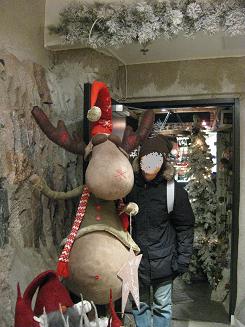 15ﾍﾙｼﾝｷ観光 (17).JPG