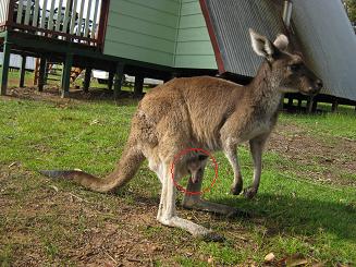 ルーシービュー (31).JPG