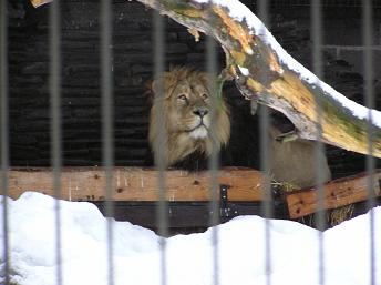 16ﾍﾙ･動物園 (7).JPG