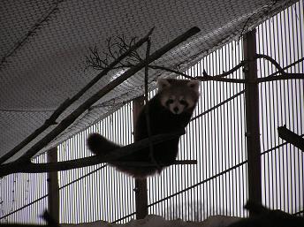 16ﾍﾙ･動物園 (8).JPG